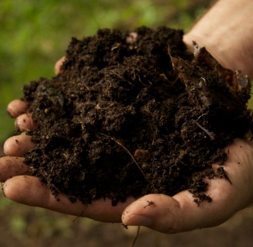 https://springpot.com/wp-content/uploads/2017/06/is_compost_soil_good_for_gardening.png