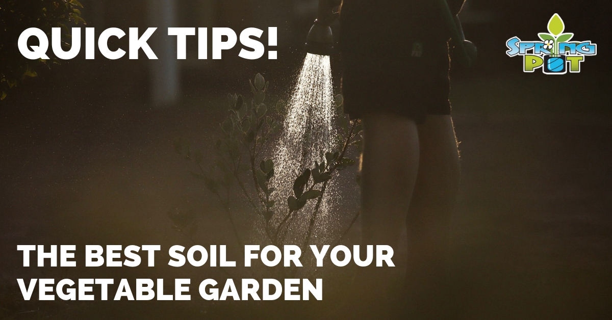 What S The Best Soil For My Vegetable Garden Quick Gardening Tips