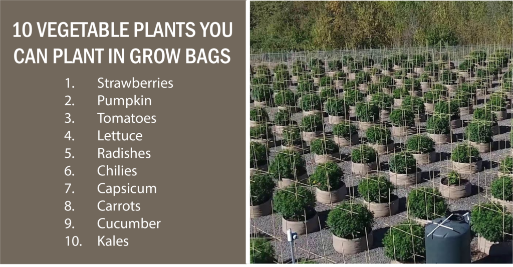 Vegetable Plant Growth Bag Moisturizing Outdoor Vertical Garden Planting-Bags 